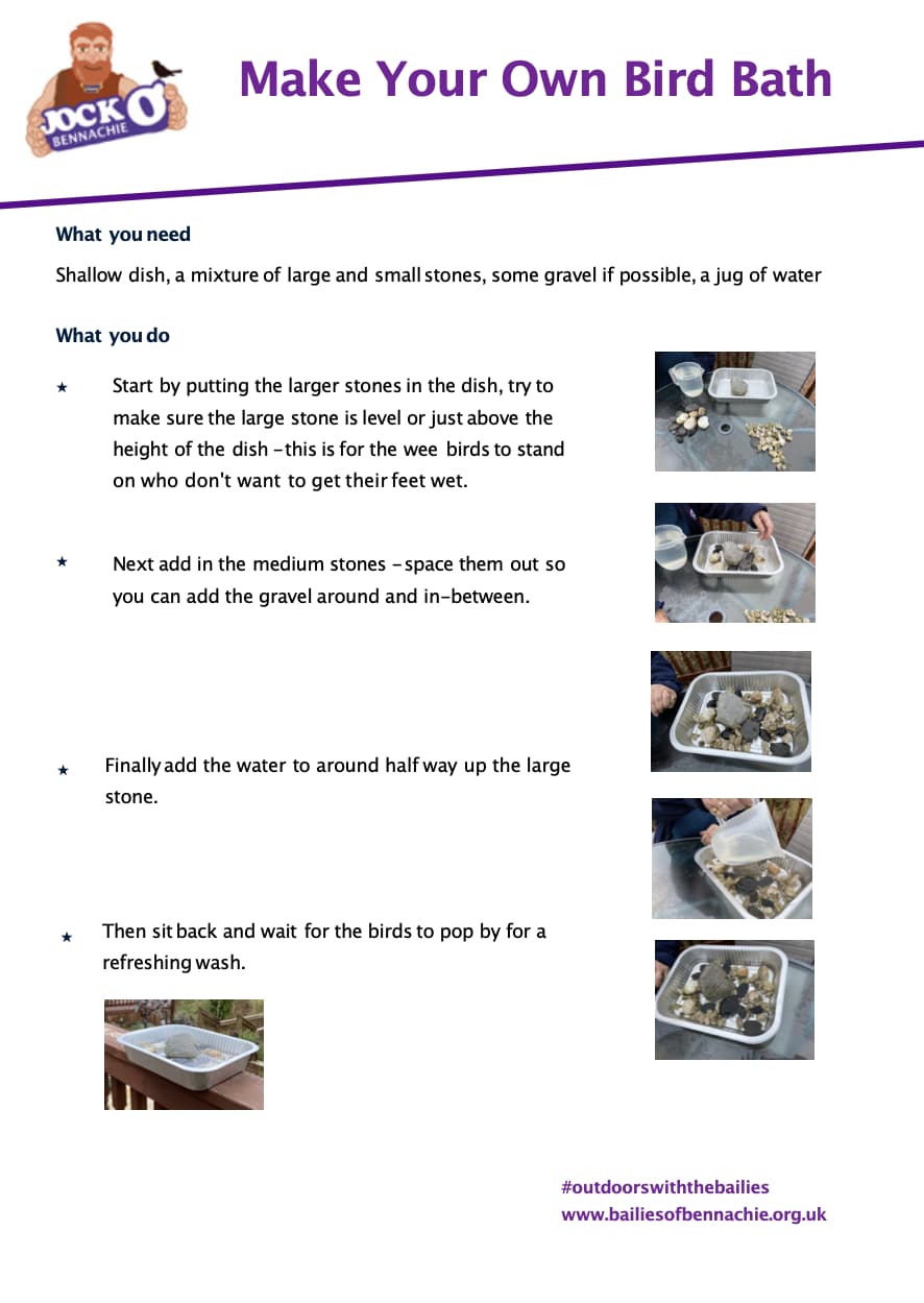 Bird Bath Activity Worksheet