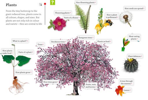 DK Find Out - Plants